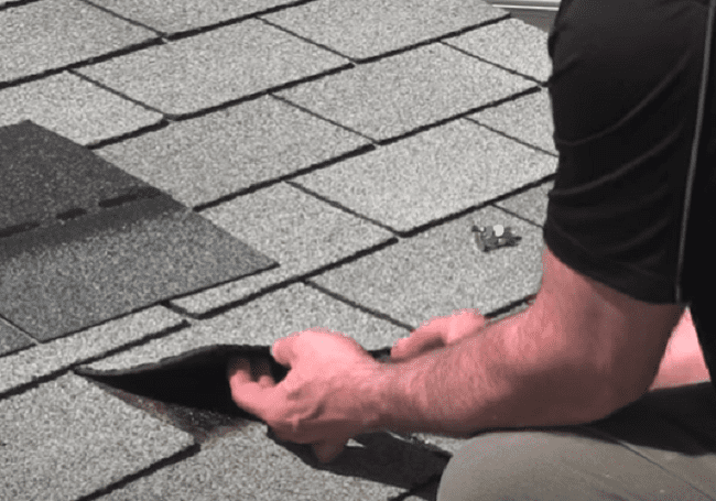 Lifting up an asphalt shingle on a shed roof